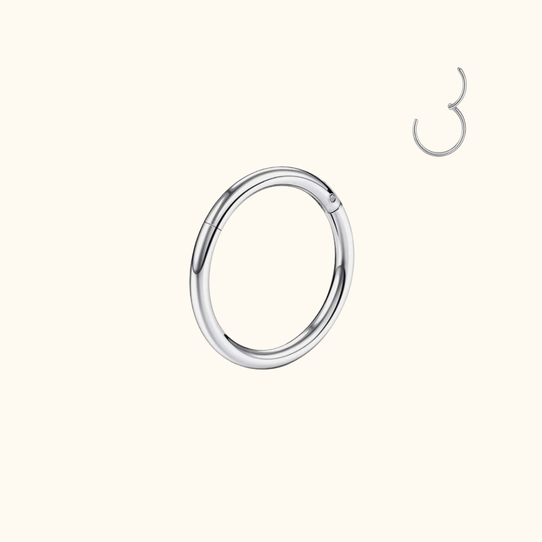 The Basic Hinged Segment Ring Clicker Stay Golden HI Jewelry