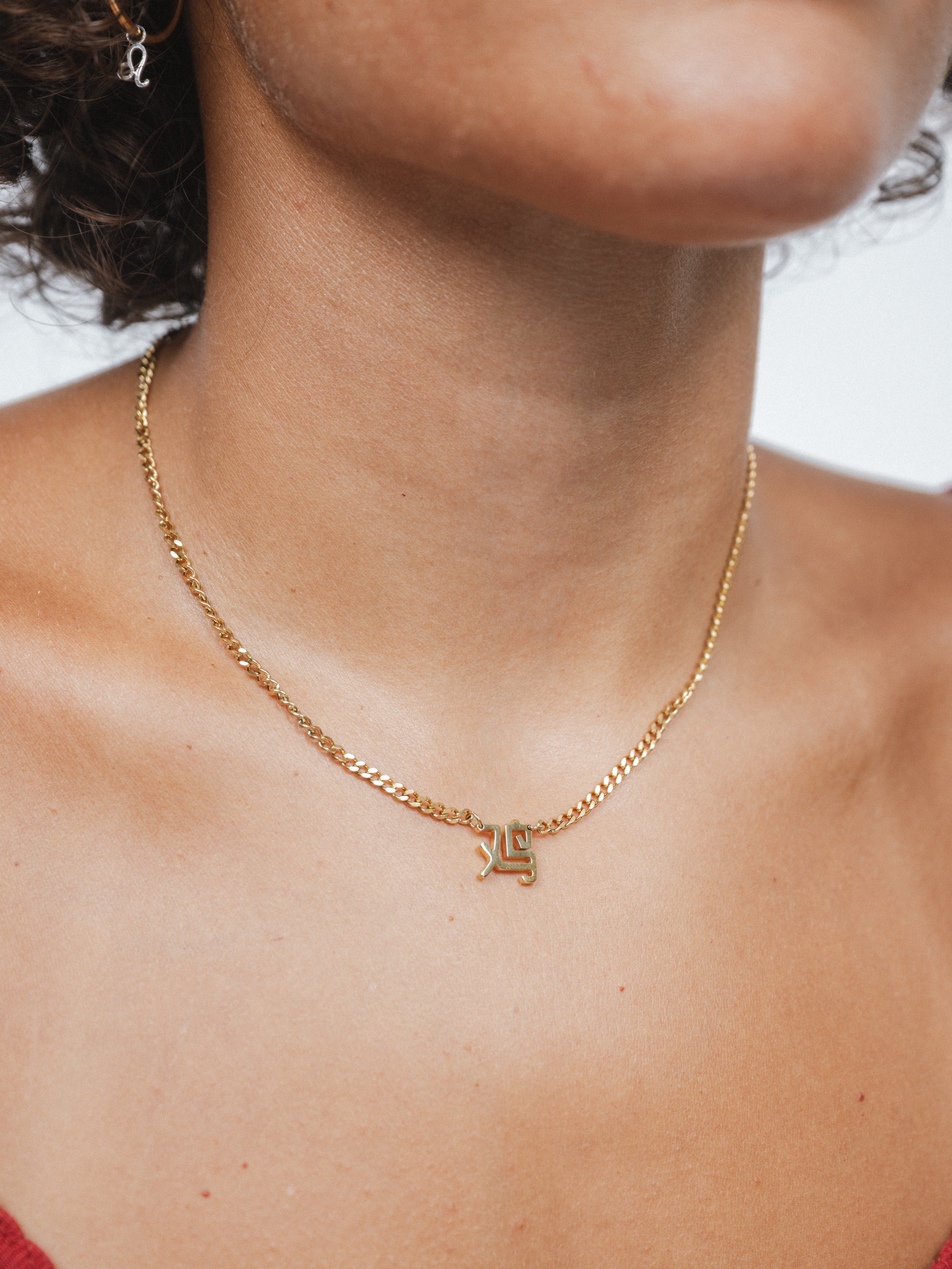 Chinese Zodiac Cuban Necklace