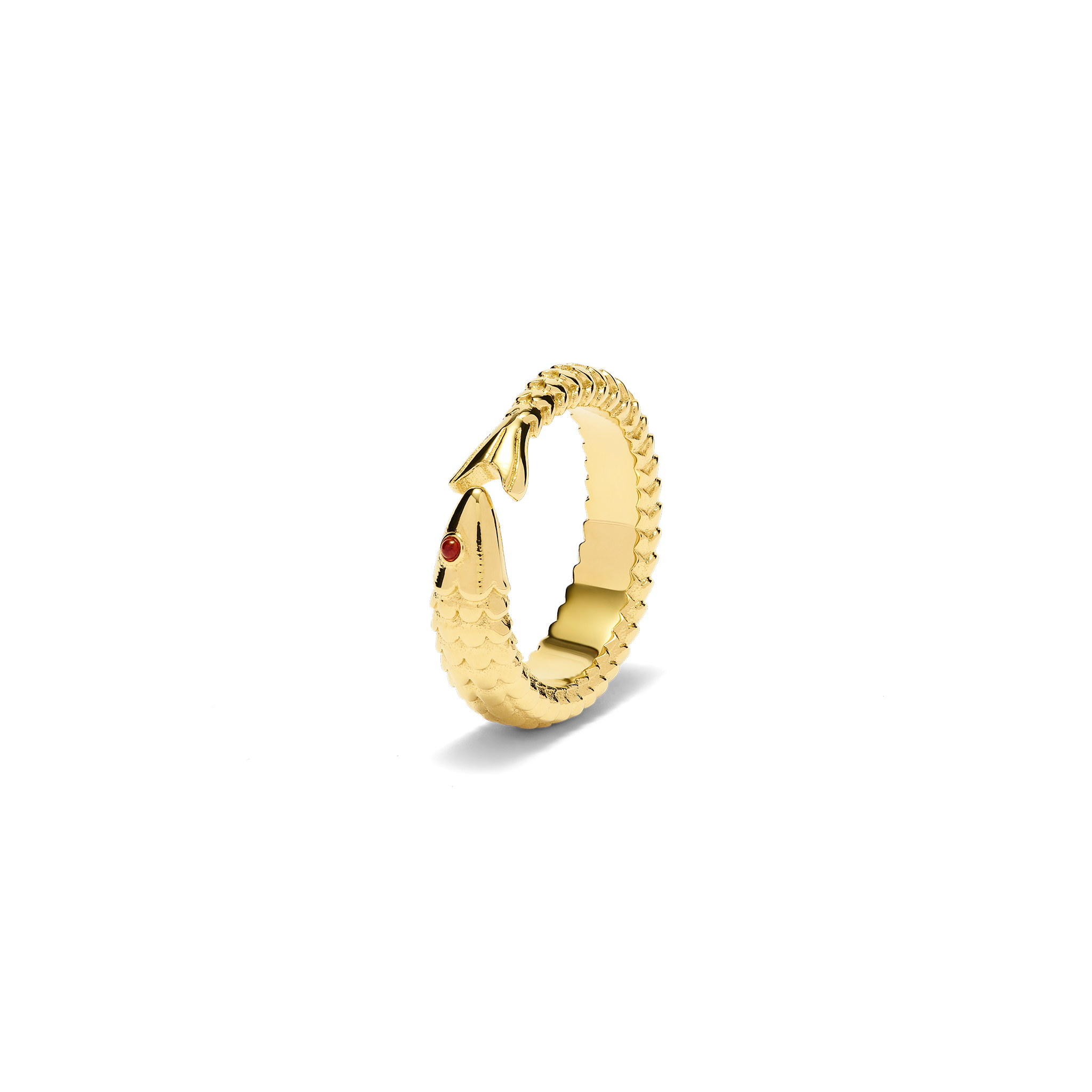 GOLD / 6