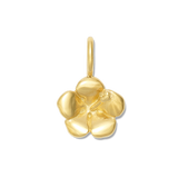 GOLD / Charm only