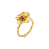 GOLD / 6