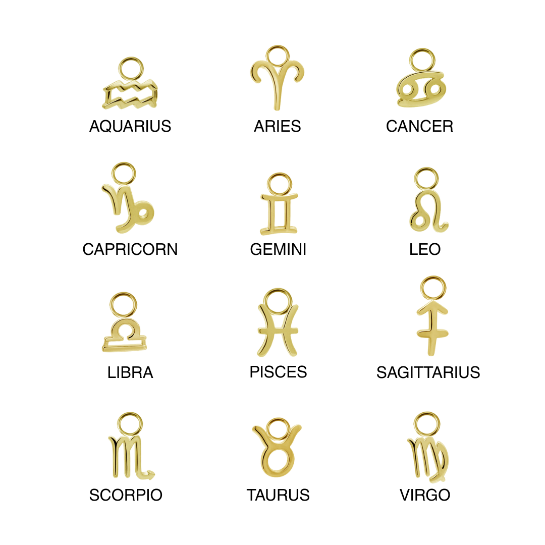 Zodiac Charm