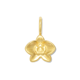 GOLD / Charm only
