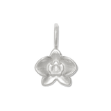 SILVER / Charm only