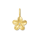 GOLD / Charm only