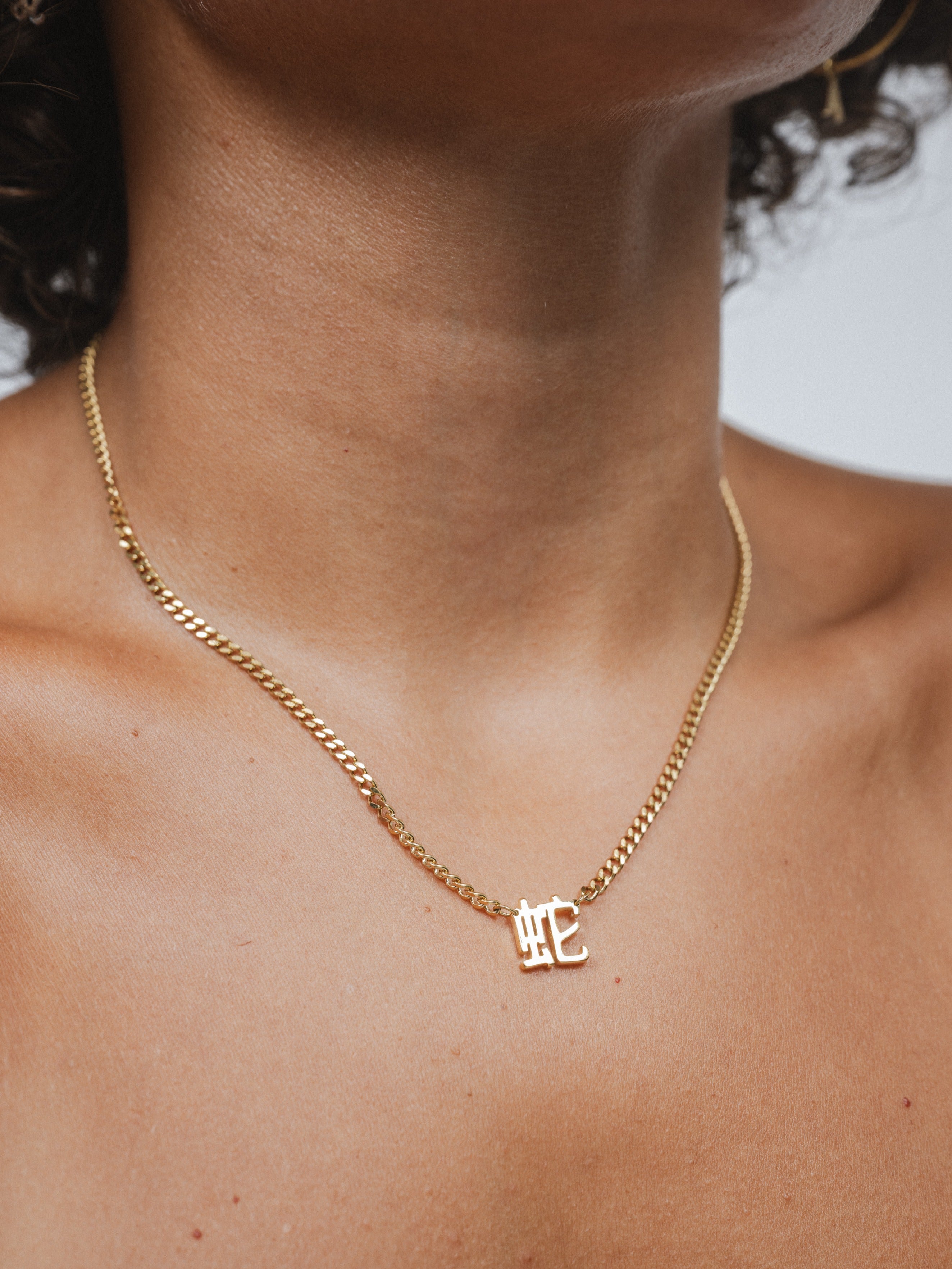 Chinese Zodiac Cuban Necklace