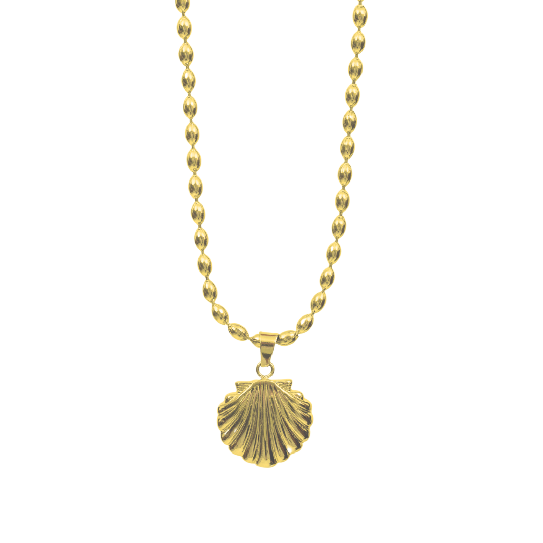 Tide Shell Necklace