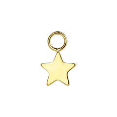 
Star Earring Charm