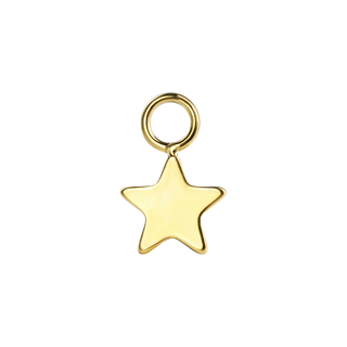 Star Charm