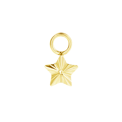 
Starlight Earring Charm