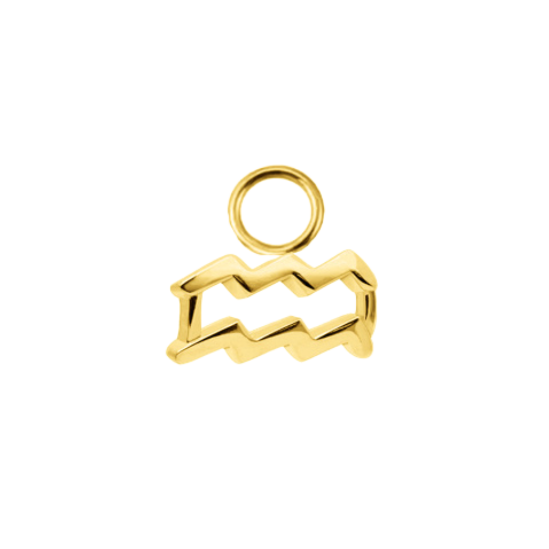 Zodiac Charm