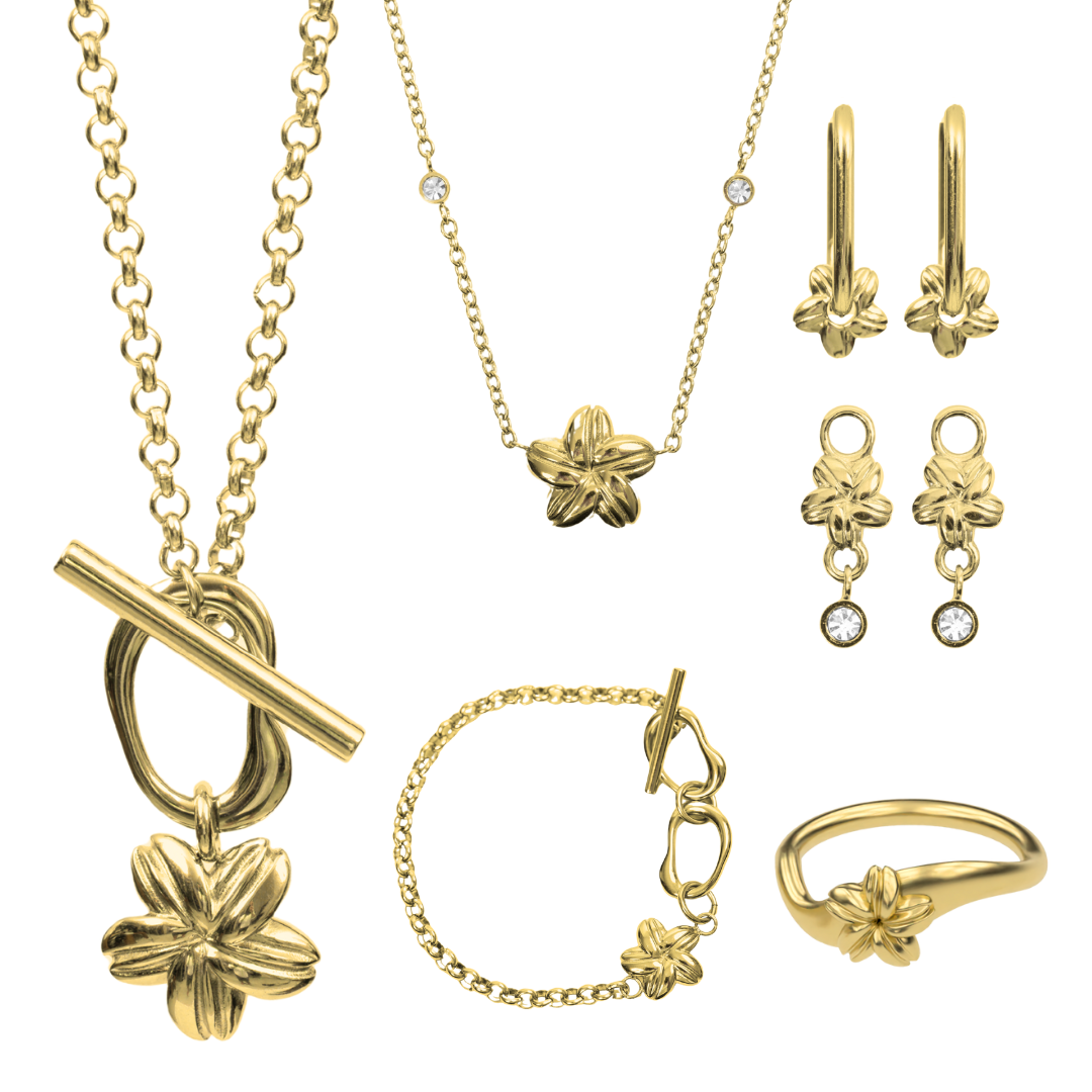 Cowrie Plumeria Bundle