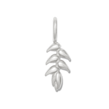 SILVER / Charm only