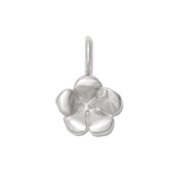 SILVER / Charm only