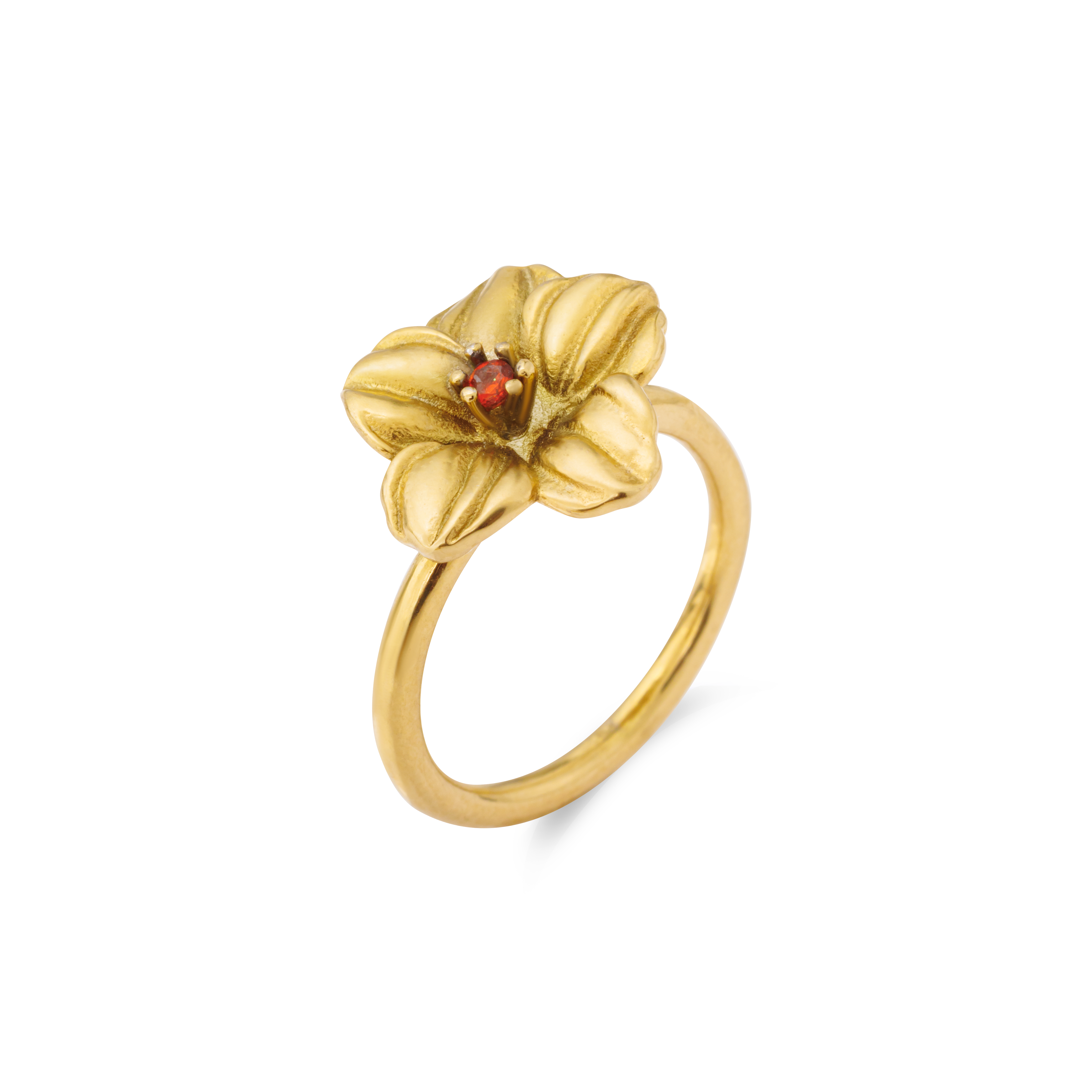 GOLD / 6