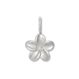 SILVER / Charm only