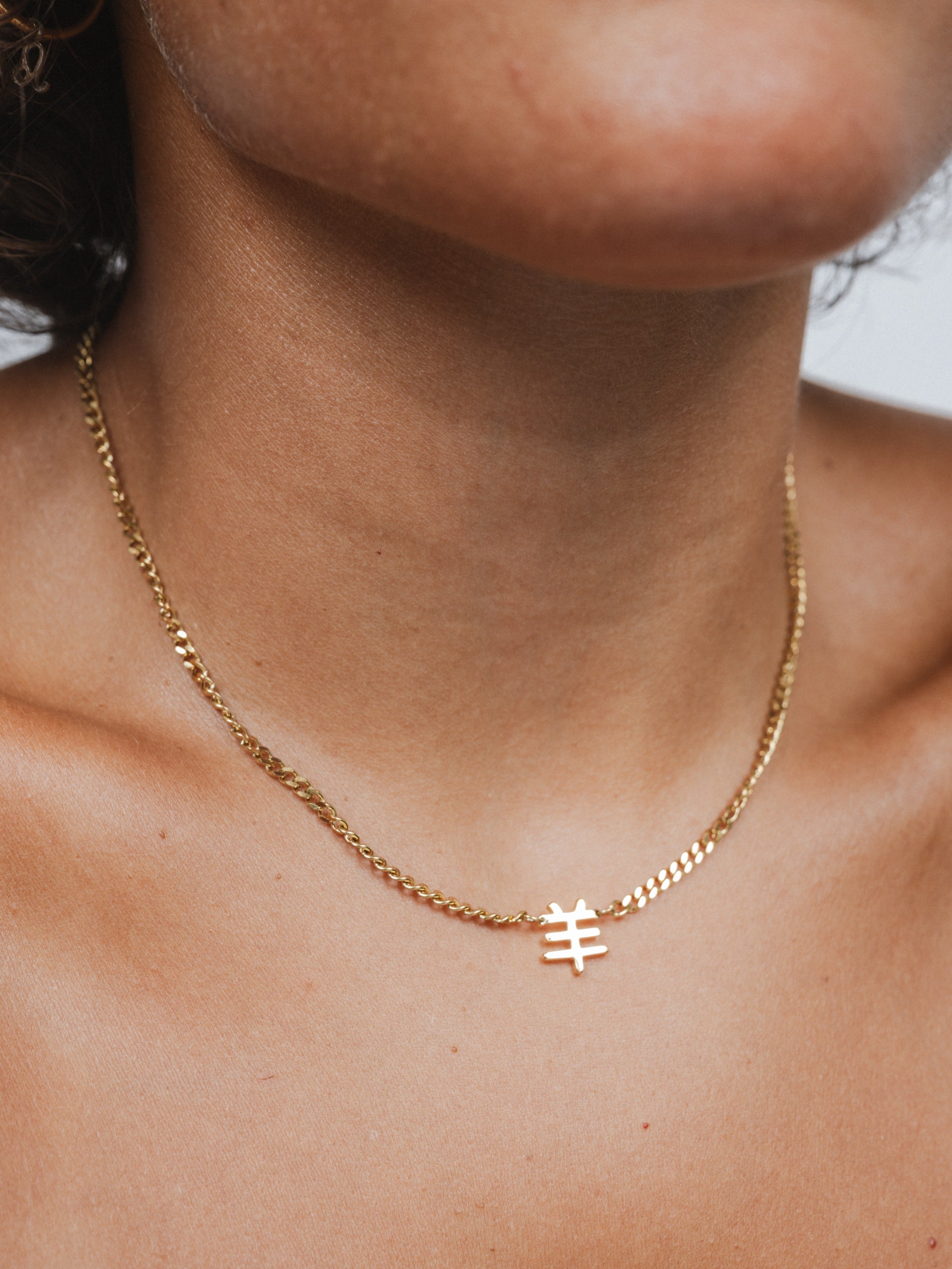 Chinese Zodiac Cuban Necklace