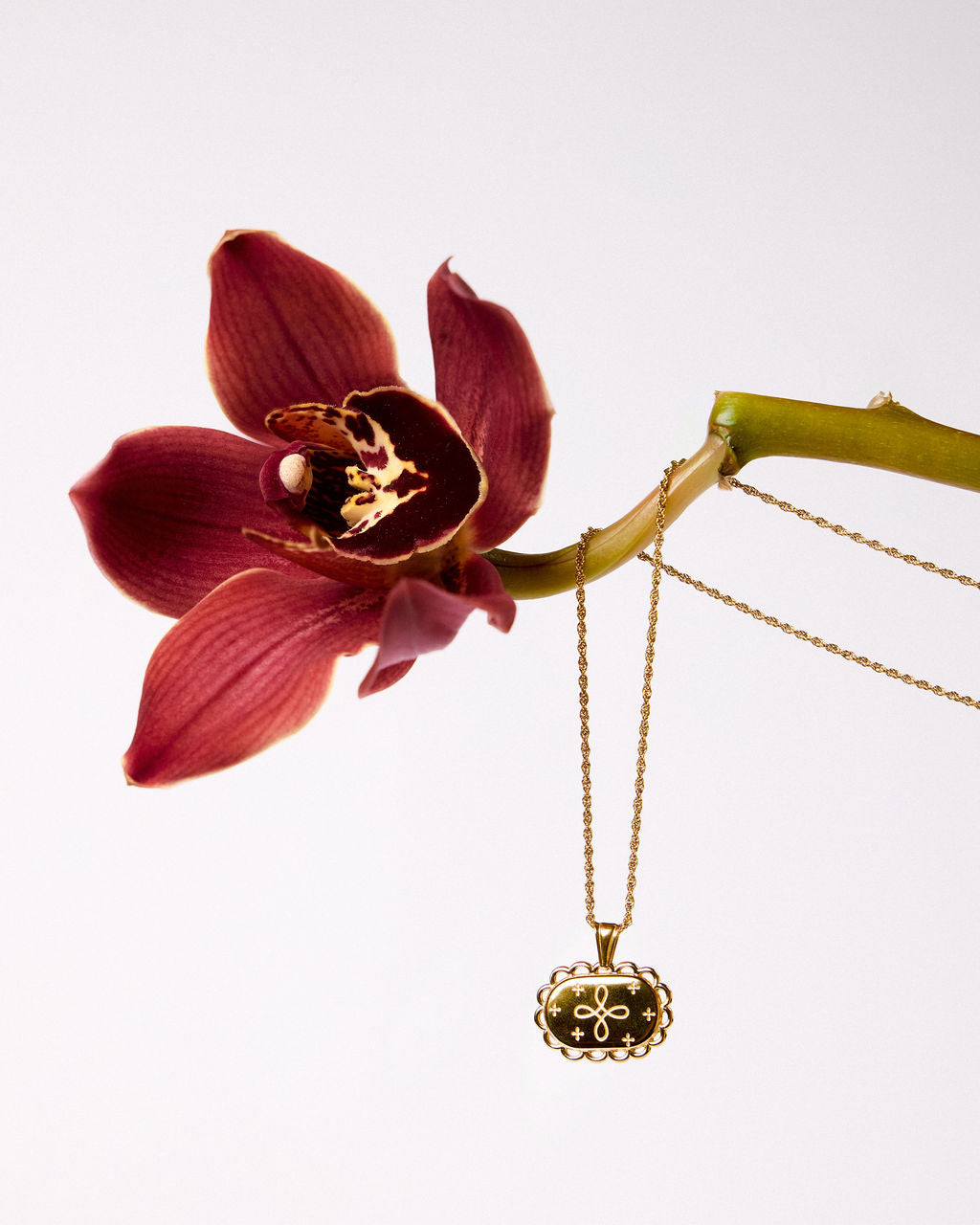 
Model wearing the Happiness Amulet Necklace