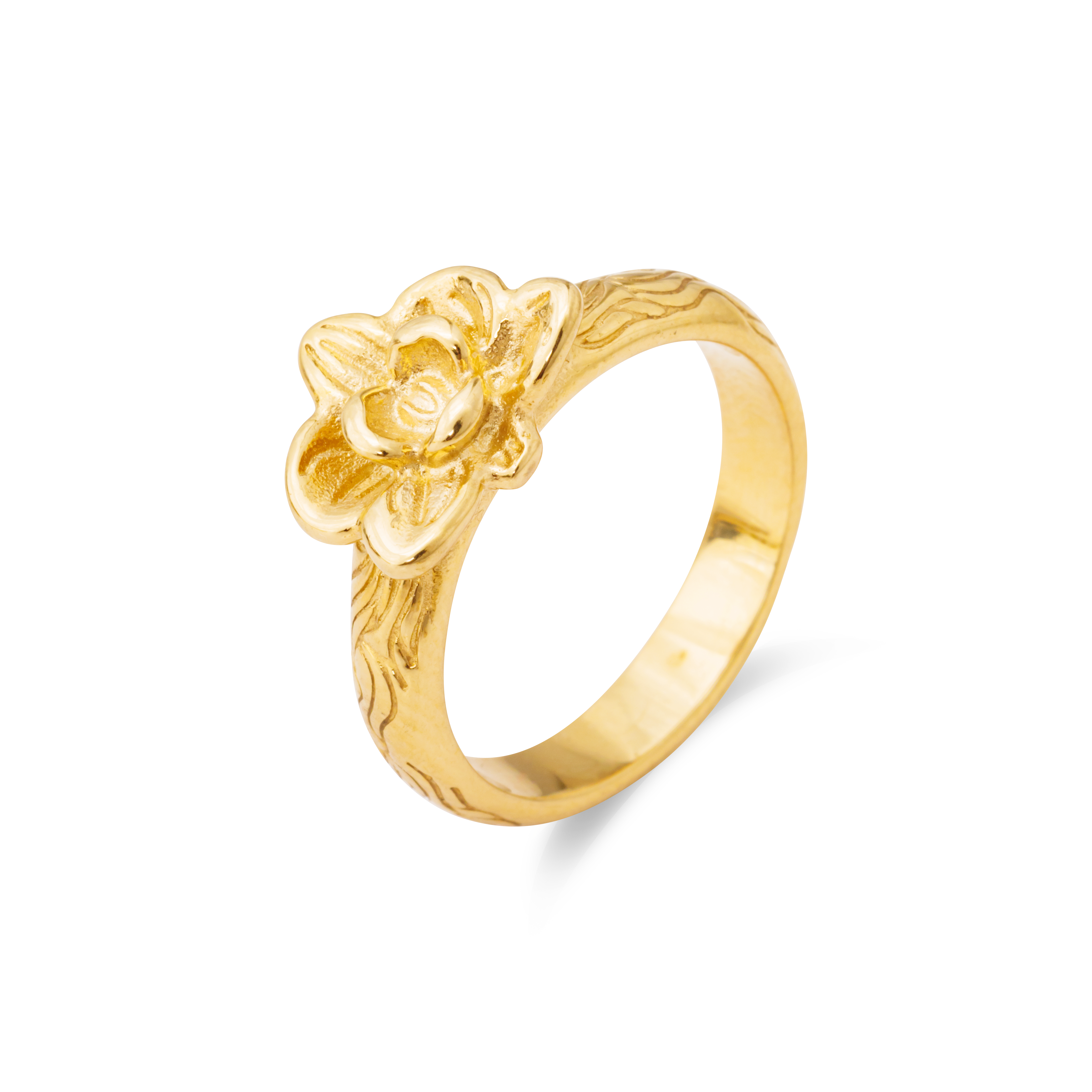 GOLD / 6