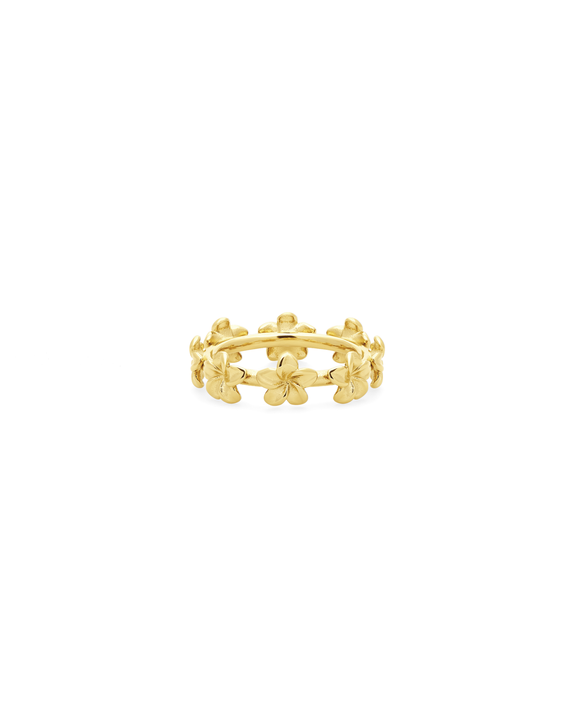 GOLD / 6