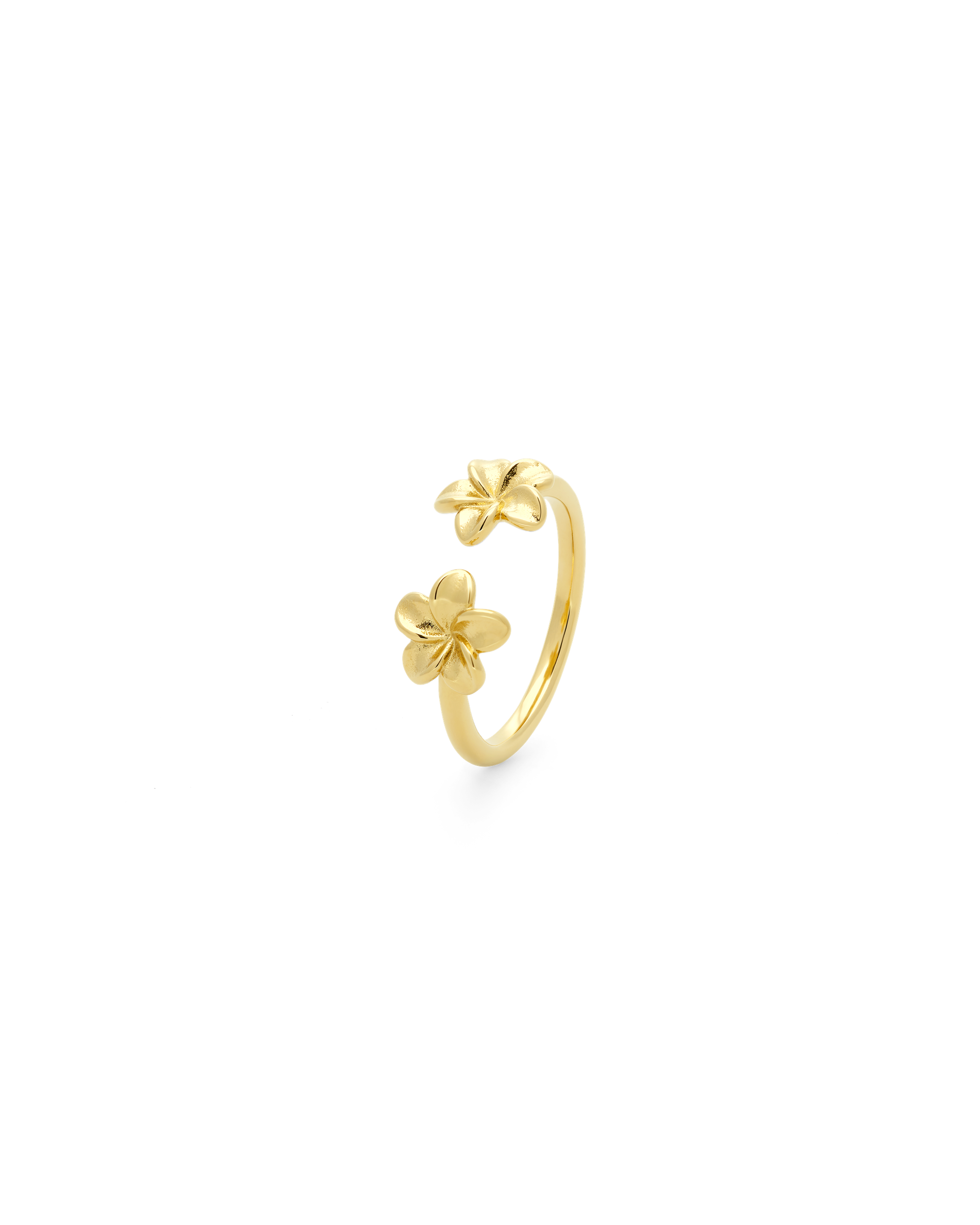 GOLD / 6
