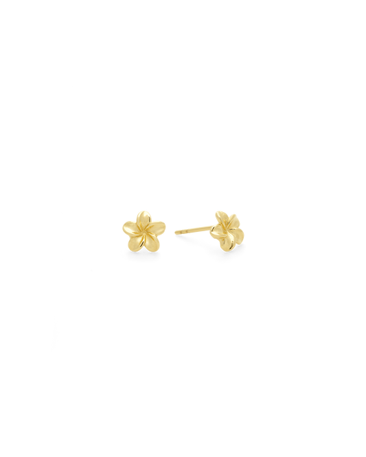 
Plumeria Bloom Stud Earring in 14k gold, pair of plumeria studs with crystal centers